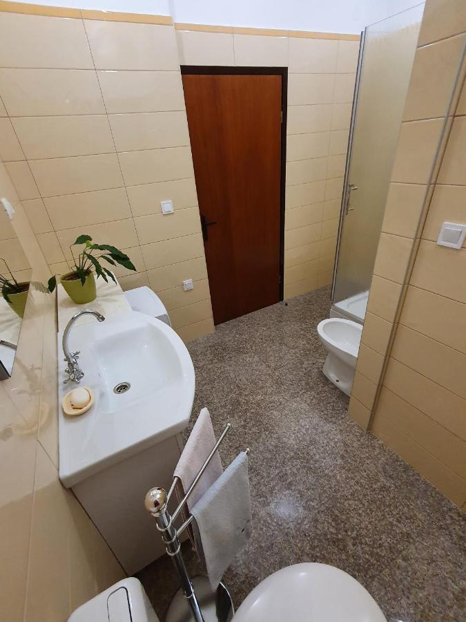Apartment "House Tigra" ロヴィニ エクステリア 写真